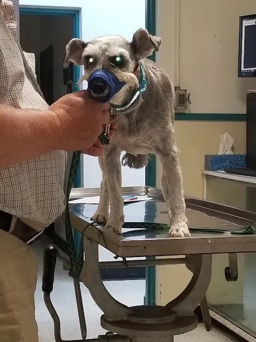 Hornell Animal Hospital 6