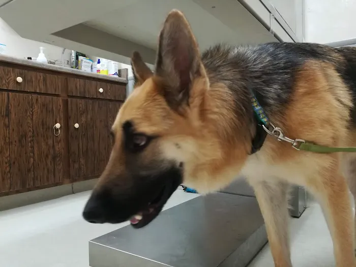 Genesee Valley Veterinary Hospital 5