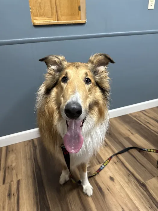Genesee Valley Veterinary Hospital 4