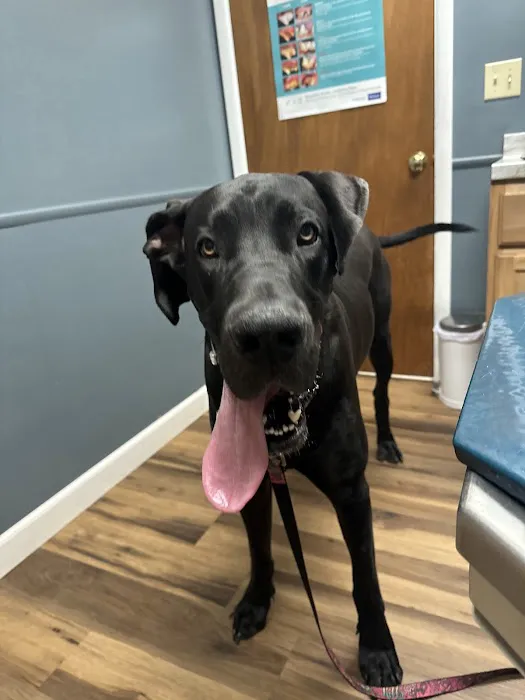 Genesee Valley Veterinary Hospital 3