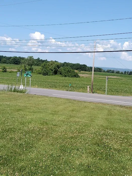 Geneseo Veterinary Care 6