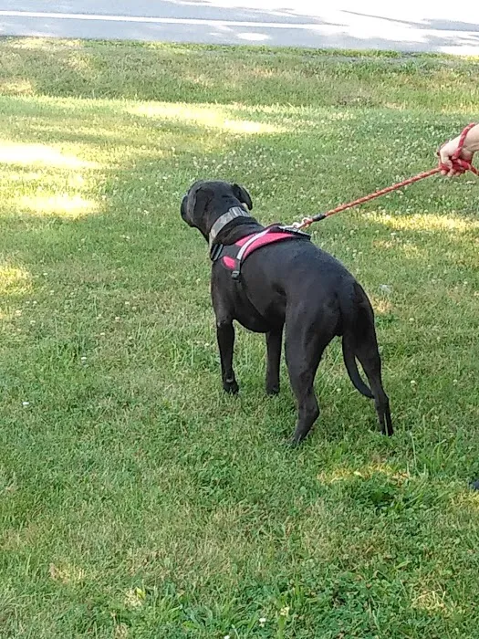 Geneseo Veterinary Care 7