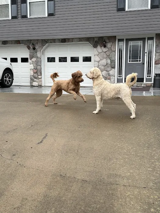 McKean County Animal Hospital 10