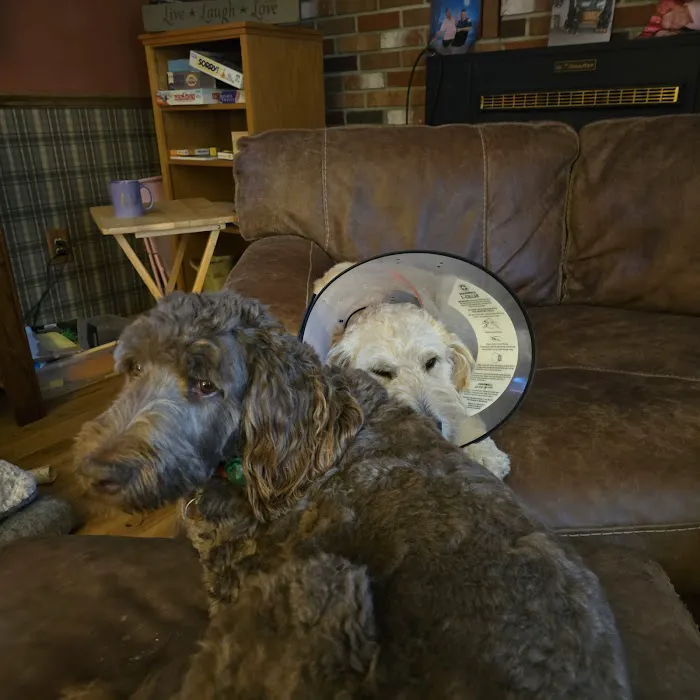 McKean County Animal Hospital 6