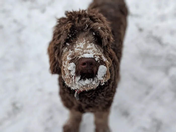 McKean County Animal Hospital 7