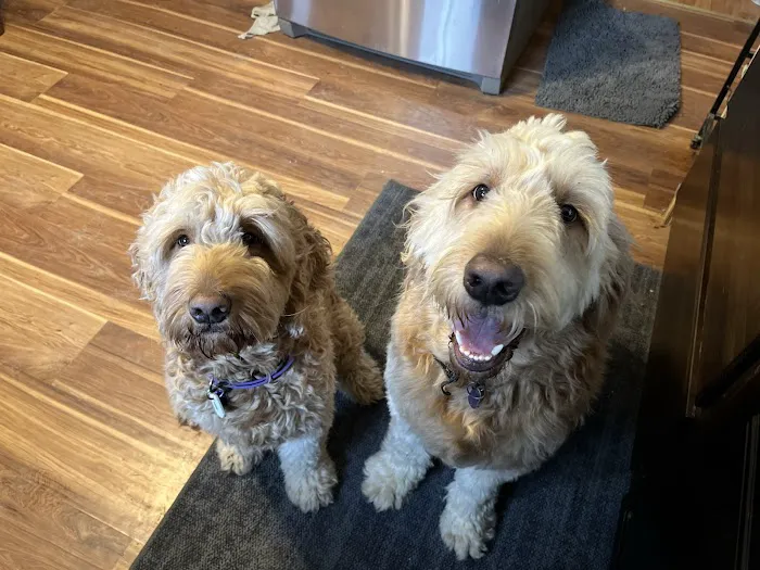 Dr. Rumsey Vet Clinic 3
