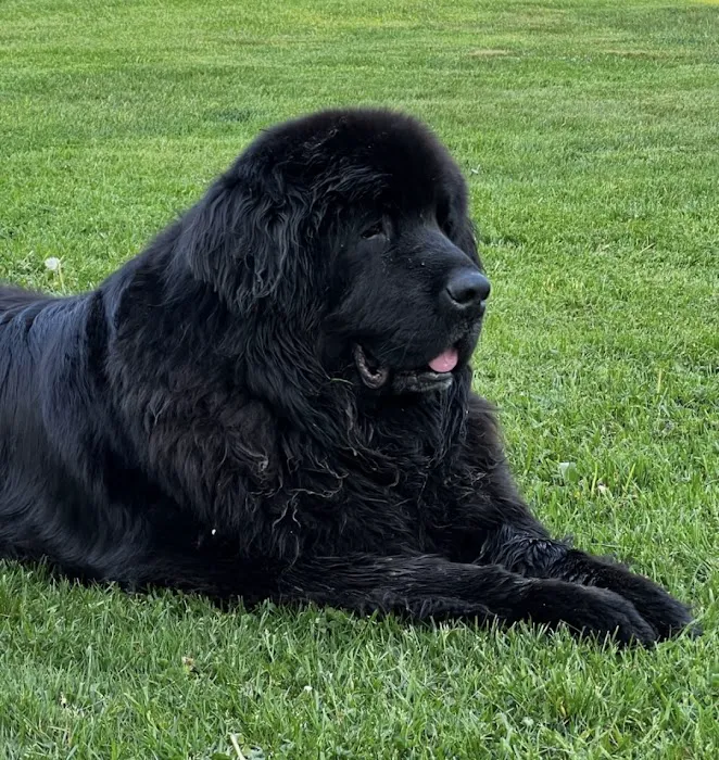 Dr. Rumsey Vet Clinic 8
