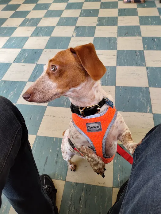 Dr. Rumsey Vet Clinic 6