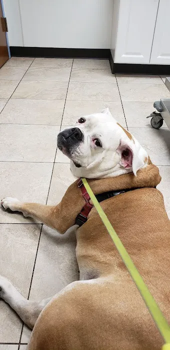 McClelland Small Animal Hospital 5