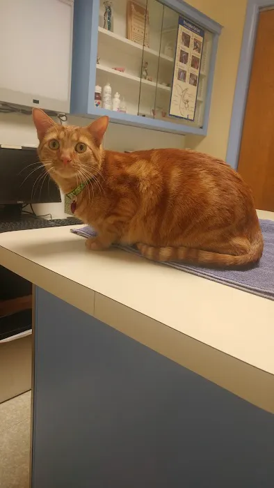McClelland Small Animal Hospital 10