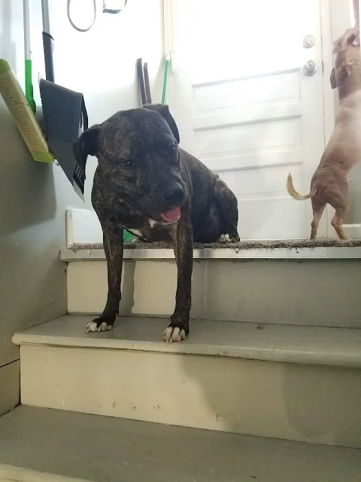 Mcclelland Small Animal Hospital: Reynders Marylisa DVM 5