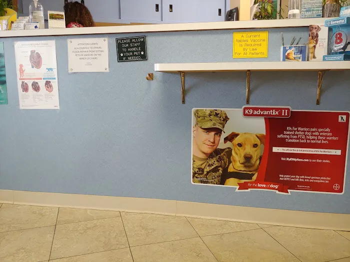 Mcclelland Small Animal Hospital: Reynders Marylisa DVM 2