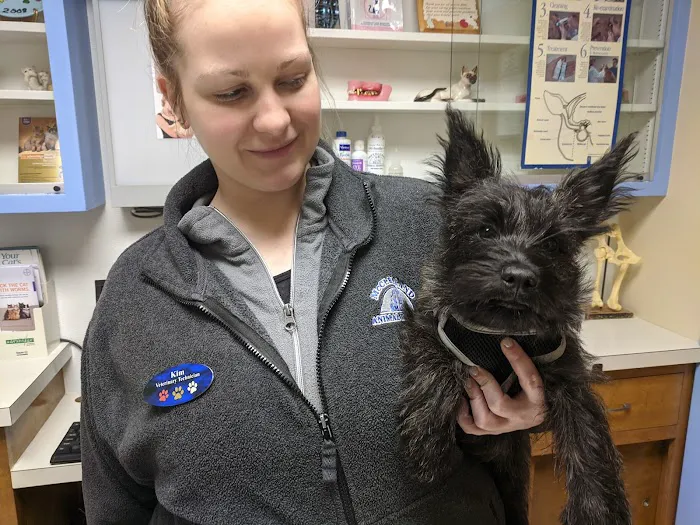 Mcclelland Small Animal Hospital: Reynders Marylisa DVM 4