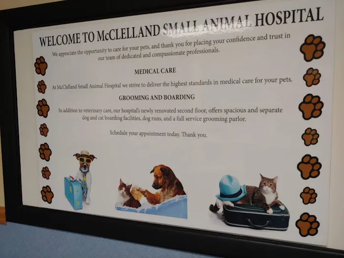 Mcclelland Small Animal Hospital: Reynders Marylisa DVM 1