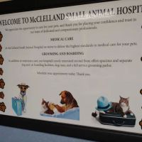 Mcclelland Small Animal Hospital: Reynders Marylisa DVM ico