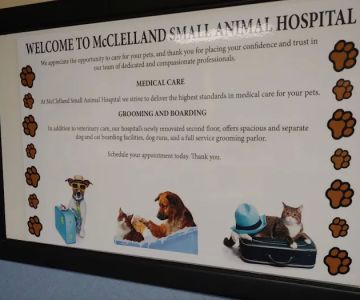 Mcclelland Small Animal Hospital: Reynders Marylisa DVM