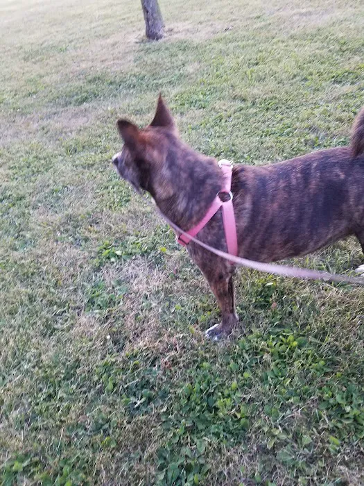 Mcclelland Small Animal Hospital: Reynders Marylisa DVM 9