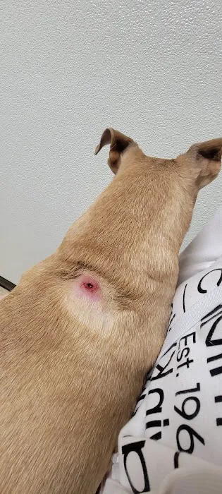 Mcclelland Small Animal Hospital: Reynders Marylisa DVM 3