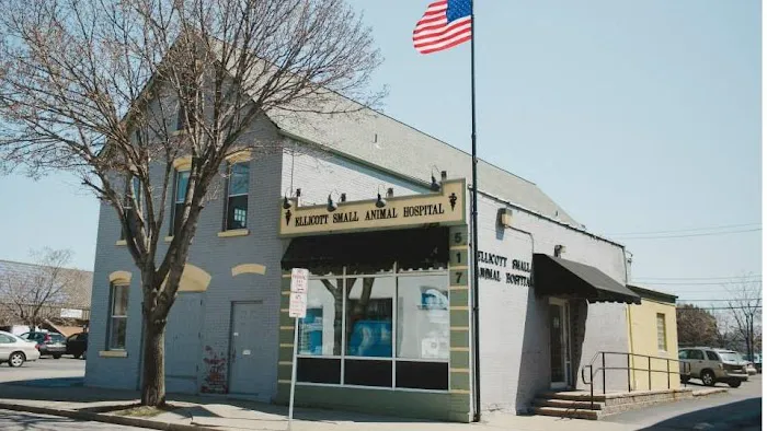 Ellicott Street Animal Hospital 9