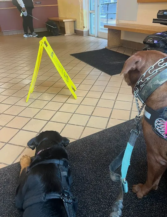 Ellicott Street Animal Hospital 4