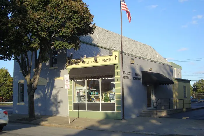 Ellicott Street Animal Hospital 7