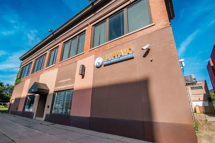 Buffalo Small Animal Hospital 5