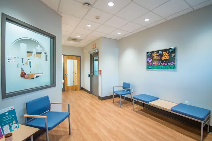 Buffalo Small Animal Hospital 9