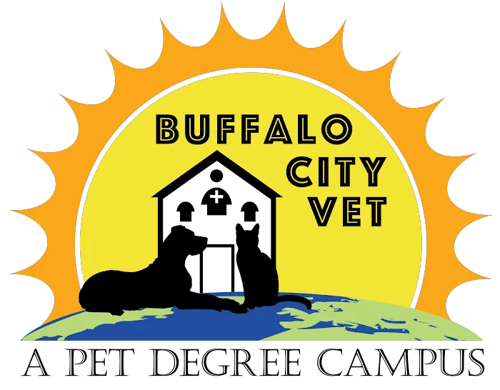 Buffalo City Vet 7