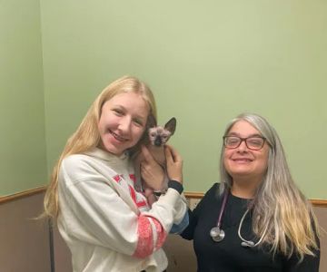 Buffalo City Vet