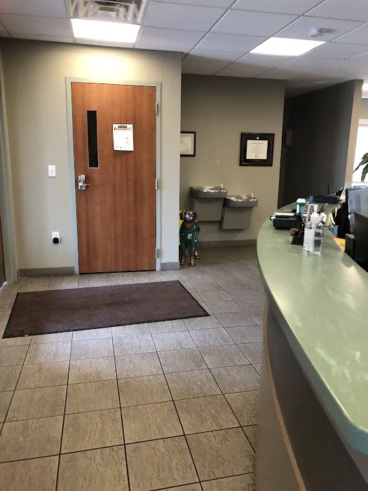 Town & Country Animal Clinic 8
