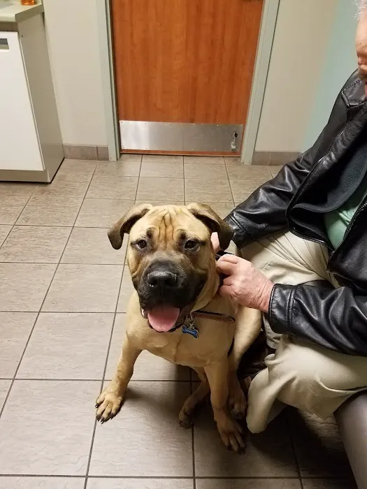 Town & Country Animal Clinic 7