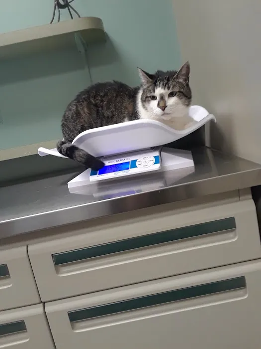 Town & Country Animal Clinic 10