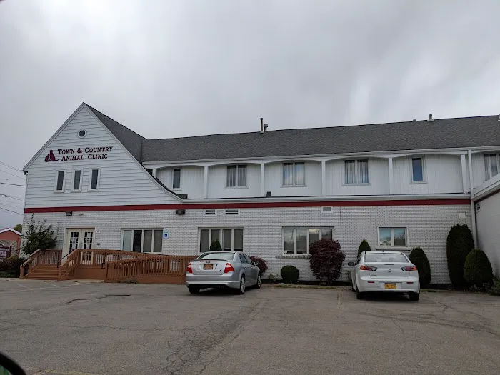 Town & Country Animal Clinic 5