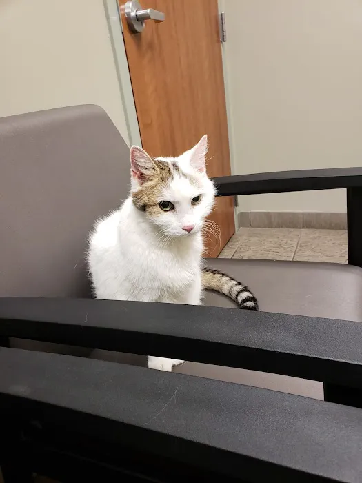 Town & Country Animal Clinic 3