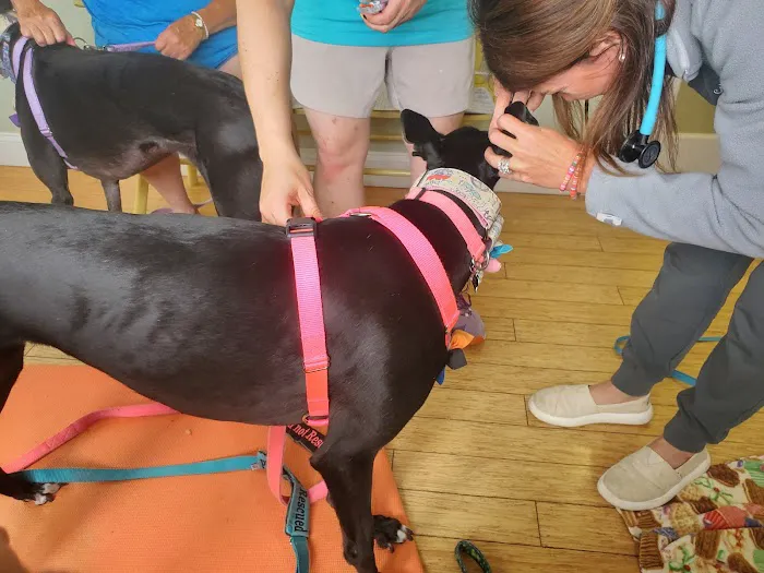 Nickel City Animal Hospital 4