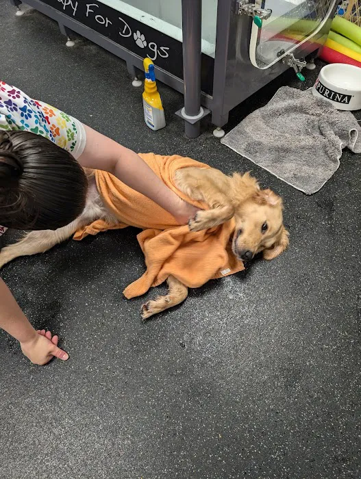 Nickel City Animal Hospital 1