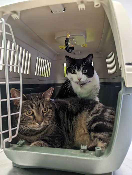 Nickel City Animal Hospital 8