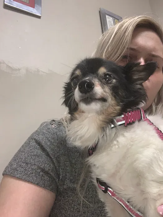 Animal Eye Care of Western New York 3