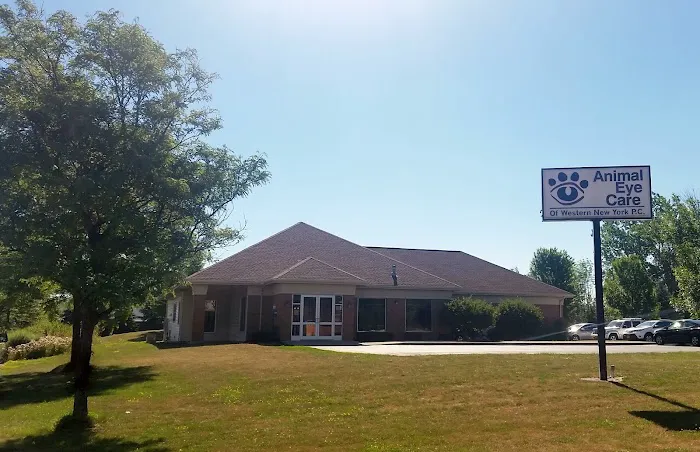 Animal Eye Care of Western New York 9