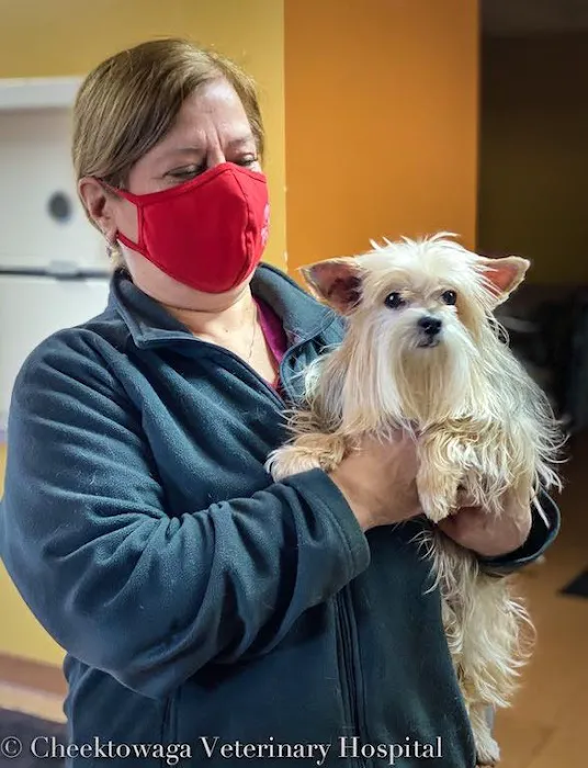 Cheektowaga Veterinary Hospital 6