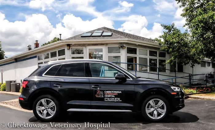 Cheektowaga Veterinary Hospital 5