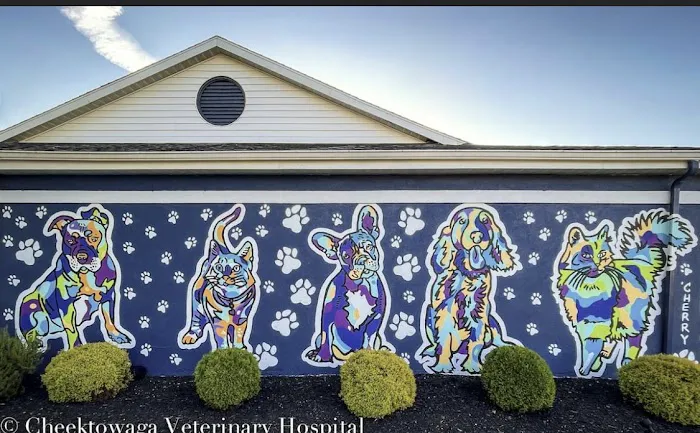 Cheektowaga Veterinary Hospital 8