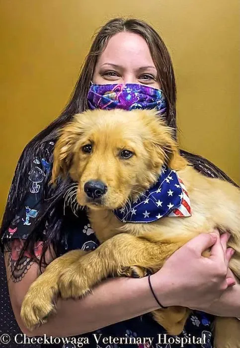 Cheektowaga Veterinary Hospital 4