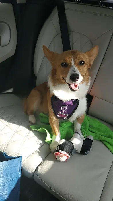 Transit Animal Hospital 7