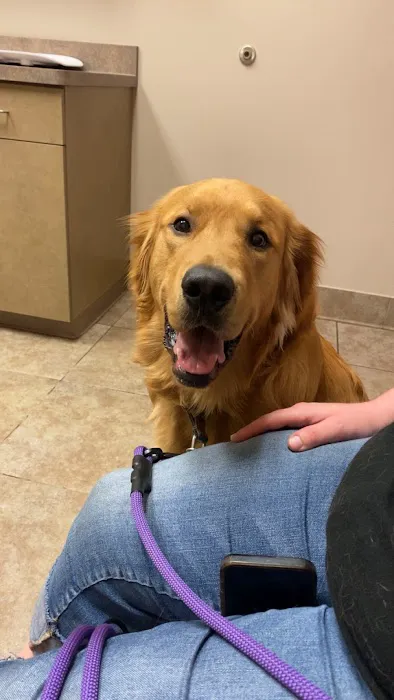 BluePearl Pet Hospital 1