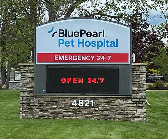 BluePearl Pet Hospital 3