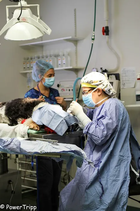 Alliance Animal Hospital 10