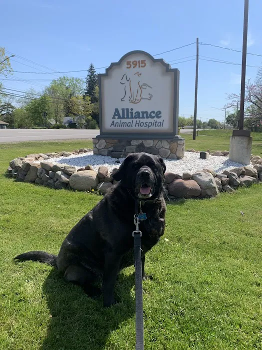 Alliance Animal Hospital 2