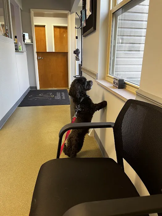 Alliance Animal Hospital 4