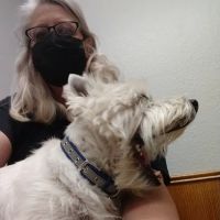 South Lake Veterinary Clinic ico
